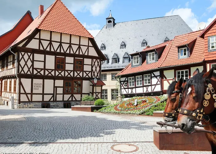 Gemuetliche In Mit Garten By Interhome * ורניגרוד